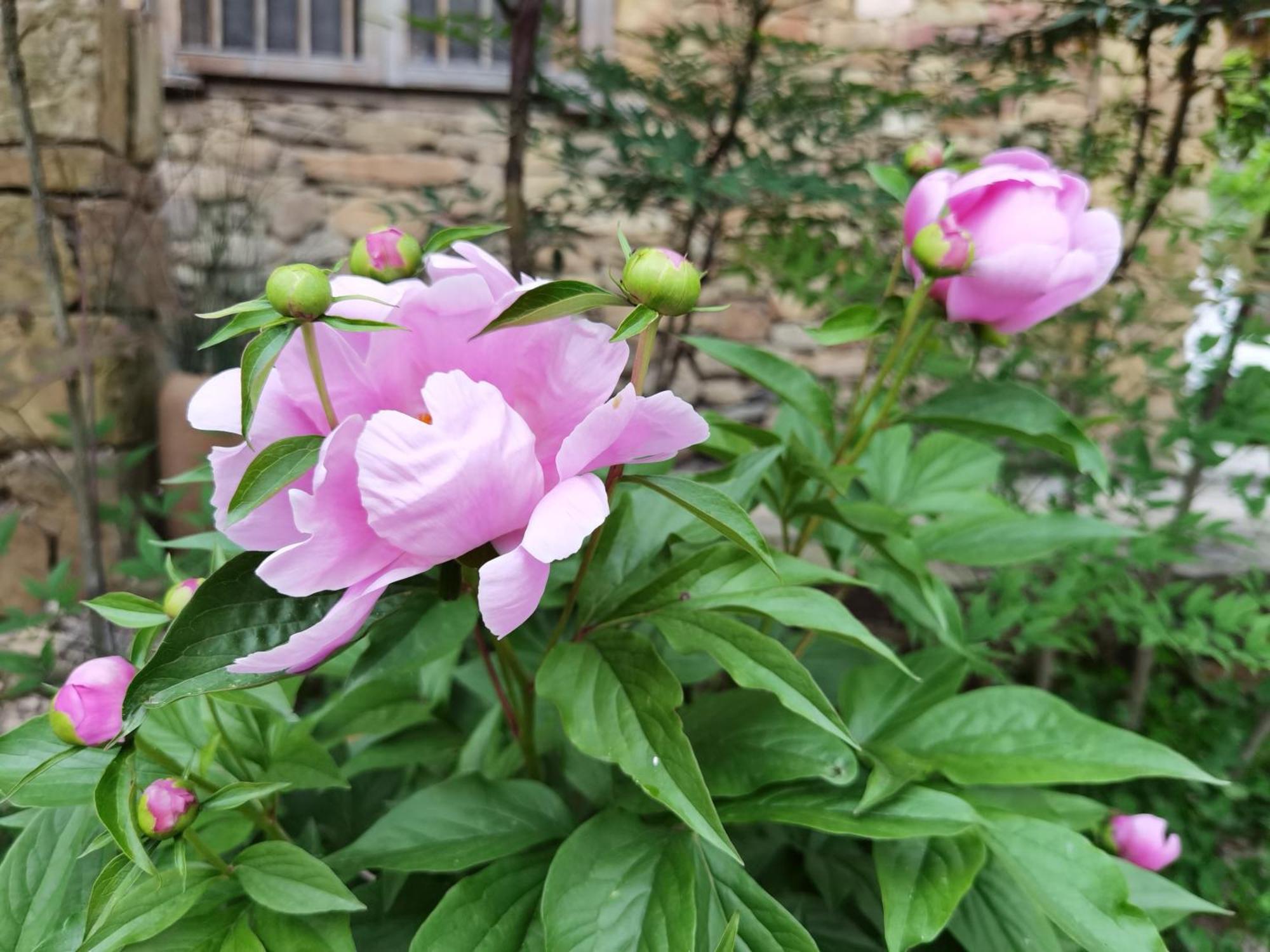 Dayong Antique Feature Resort Zhangjiajie Exterior foto