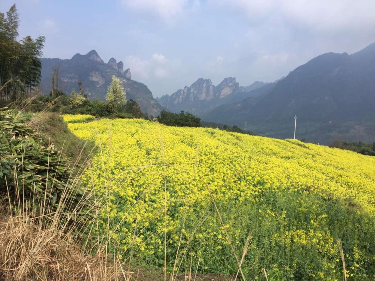 Dayong Antique Feature Resort Zhangjiajie Exterior foto