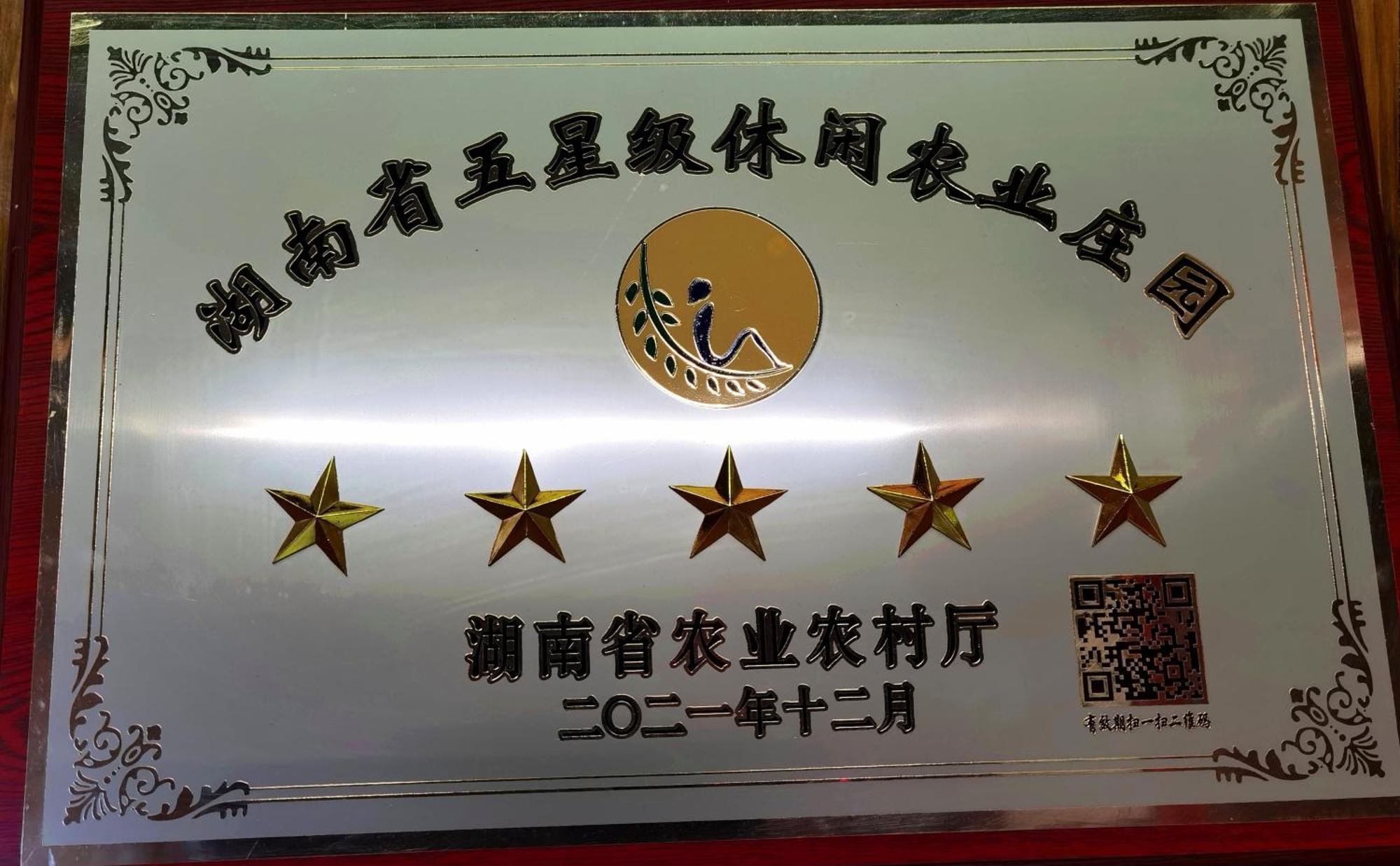 Dayong Antique Feature Resort Zhangjiajie Exterior foto