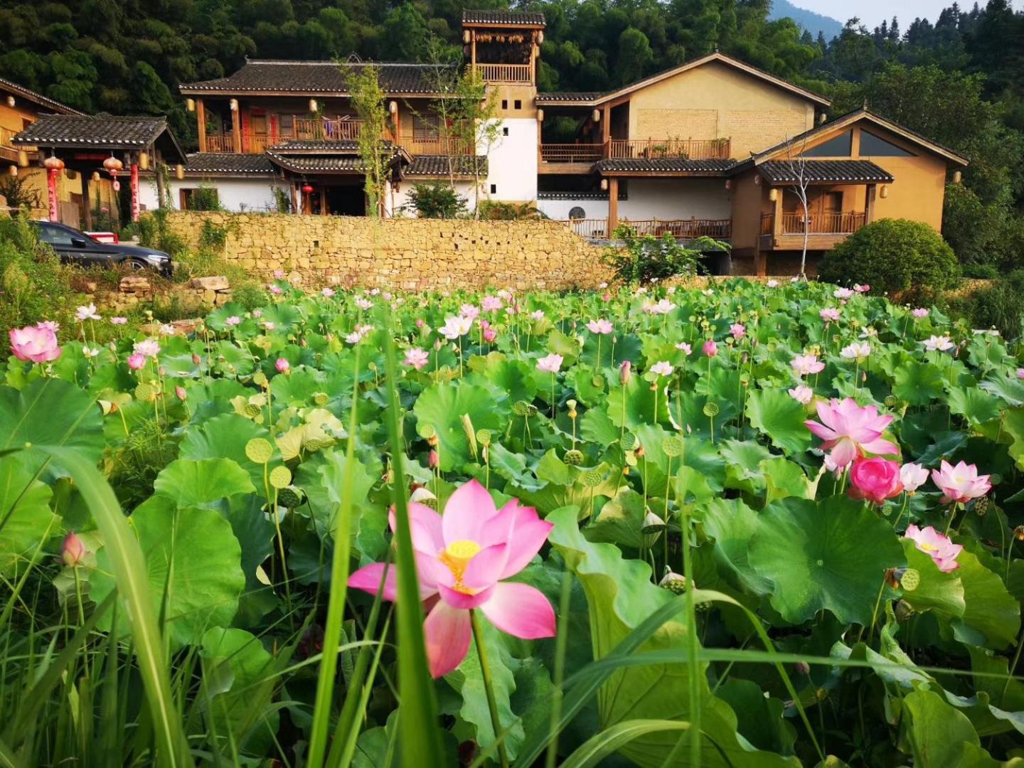 Dayong Antique Feature Resort Zhangjiajie Exterior foto